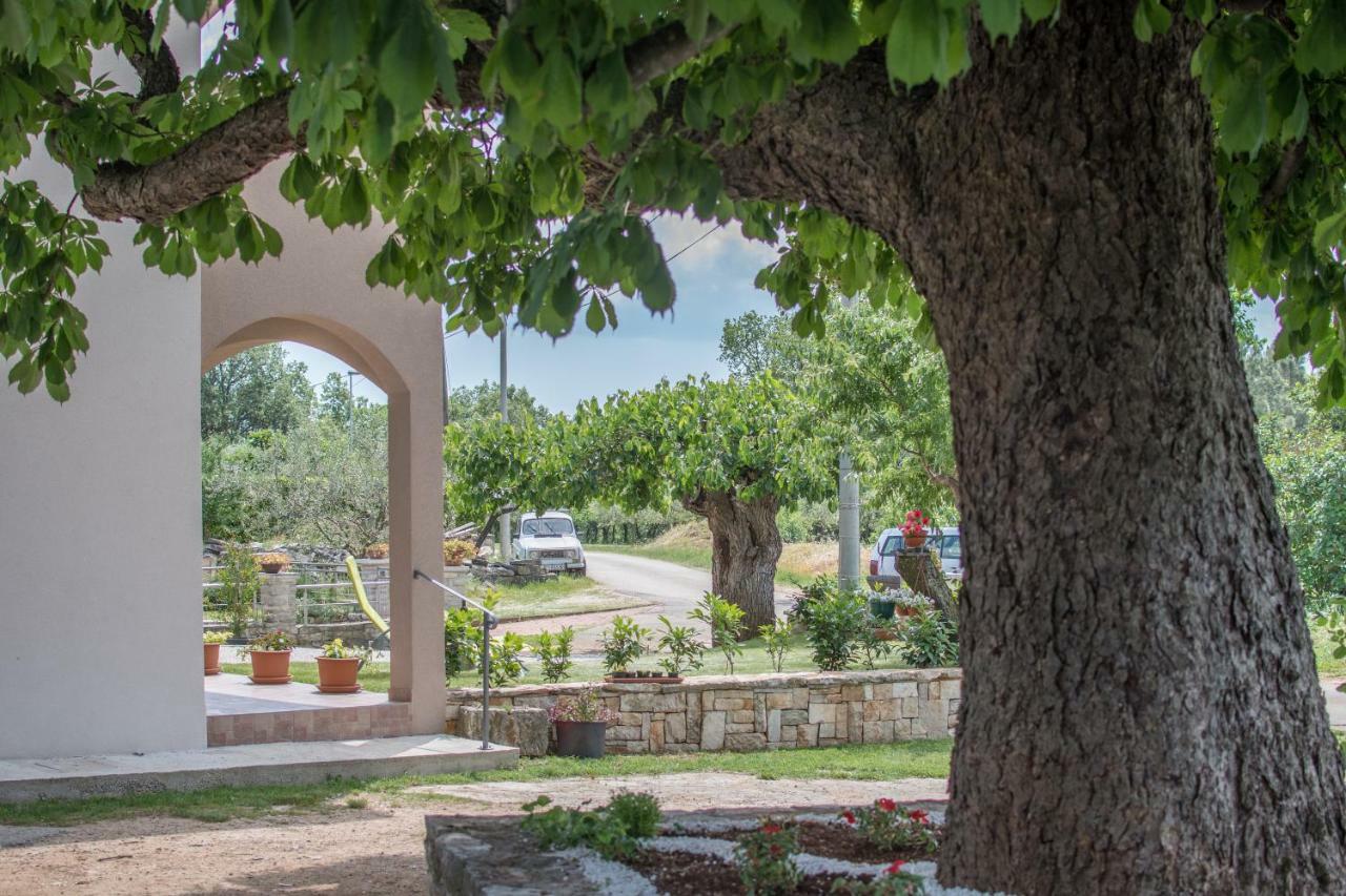 Apartment Stari Kesten